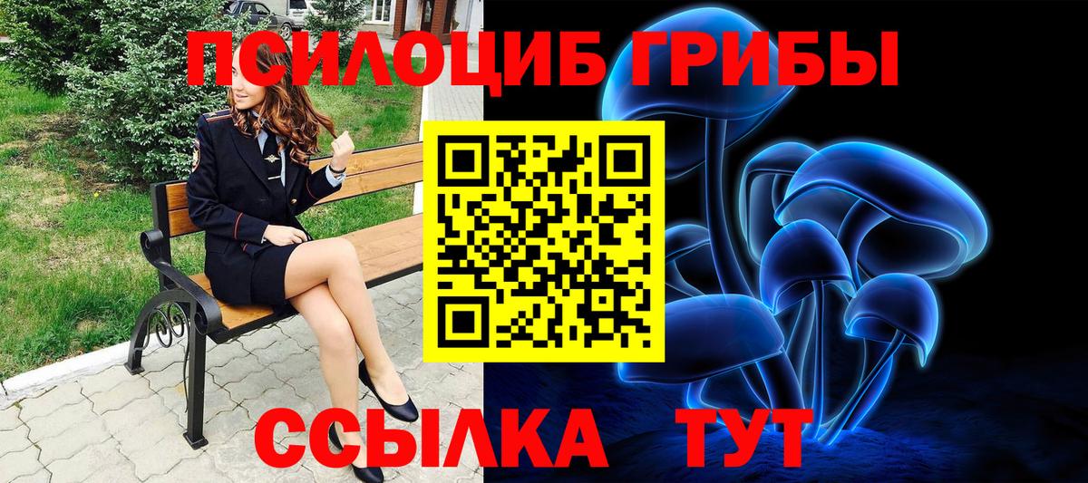 Минусинск  Псилоцибиновые грибы GOLDEN TEACHER  Вход с VPN 